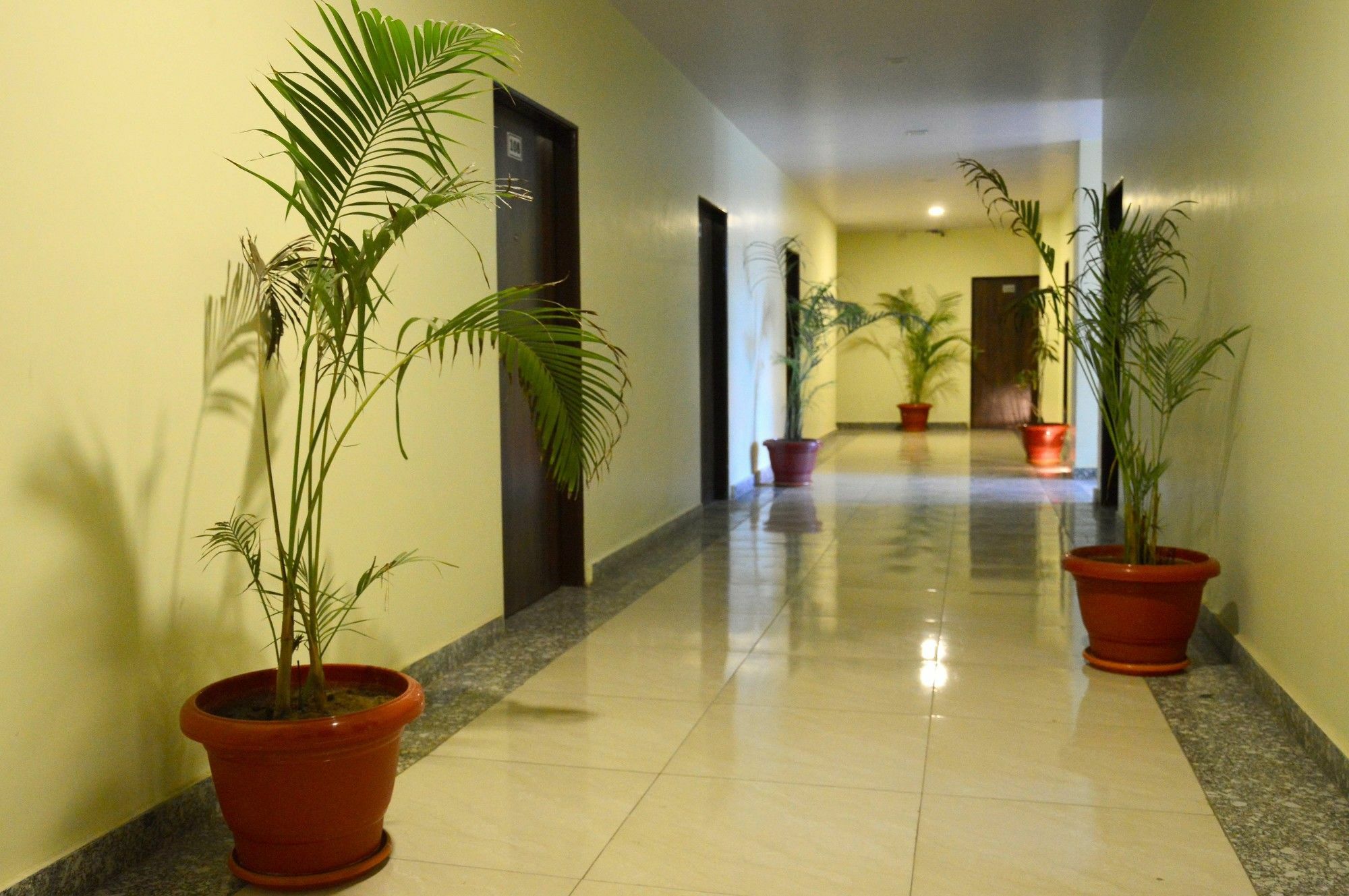 Oyo 6697 Hotel Green Lemon Jaipur Buitenkant foto